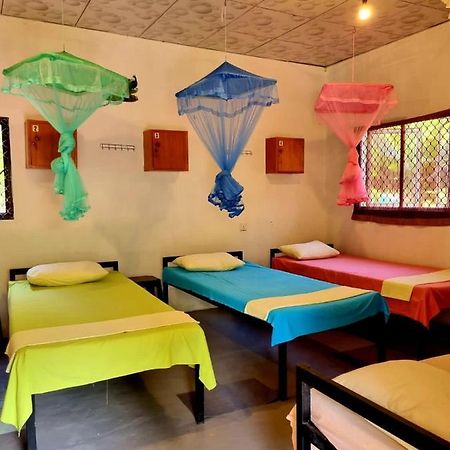 Helena Hostel Dickwella Zewnętrze zdjęcie