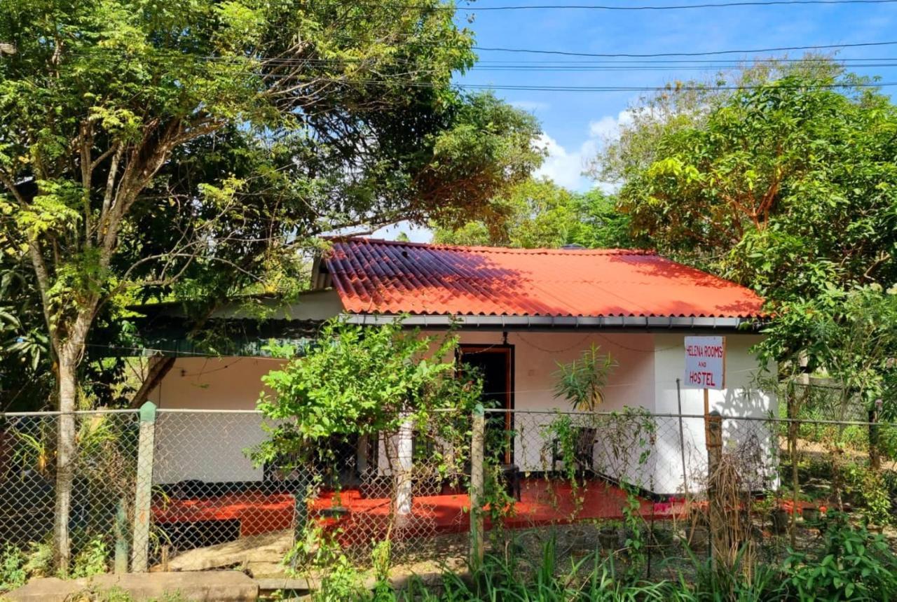 Helena Hostel Dickwella Zewnętrze zdjęcie